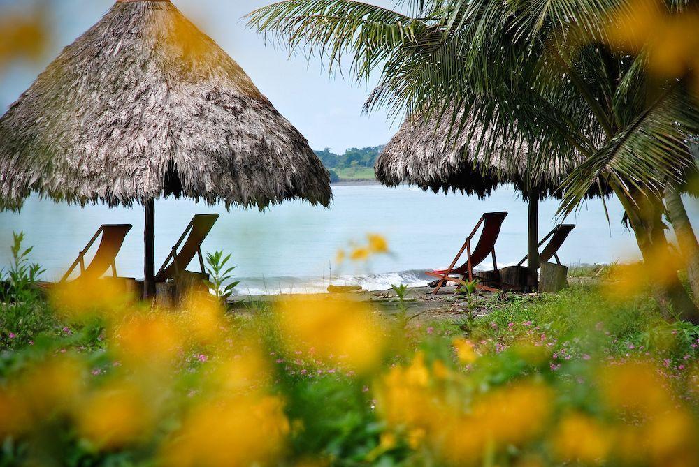 Puerto Jiménez Iguana Lodge Beach Resort And Spa מראה חיצוני תמונה